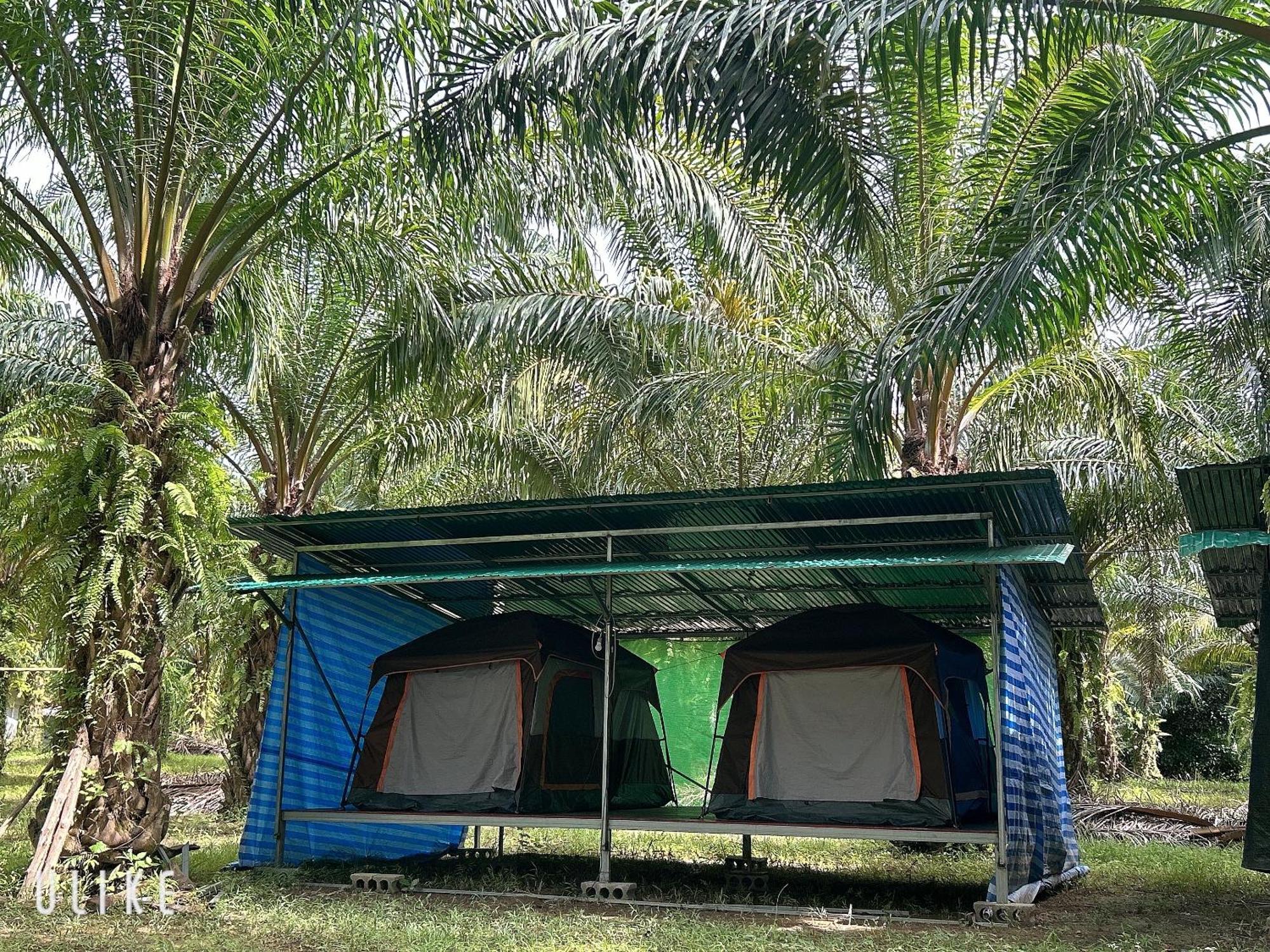 Khaosok August Freedom Camp Otel Khao Sok National Park Dış mekan fotoğraf