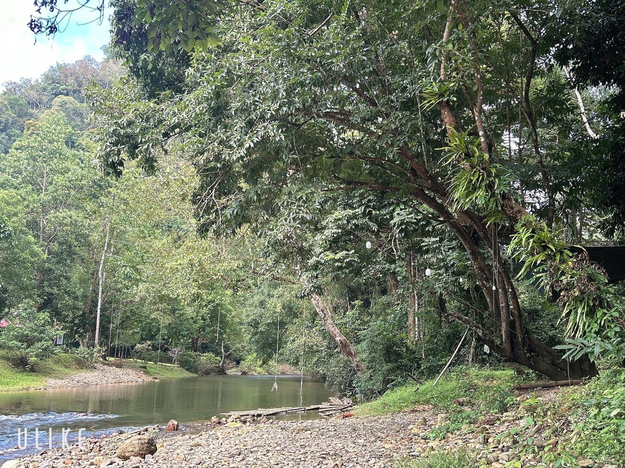 Khaosok August Freedom Camp Otel Khao Sok National Park Dış mekan fotoğraf