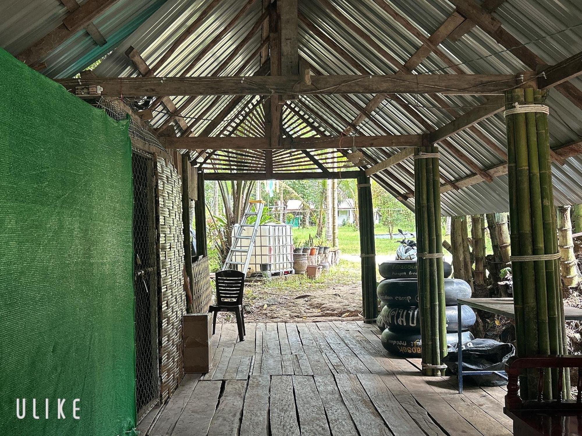 Khaosok August Freedom Camp Otel Khao Sok National Park Dış mekan fotoğraf